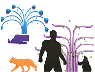 ivity brand types